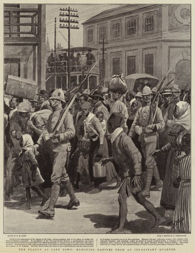 The Plague at Cape Town, removing Natives from an Insanitary Quarter by Henry Marriott Paget